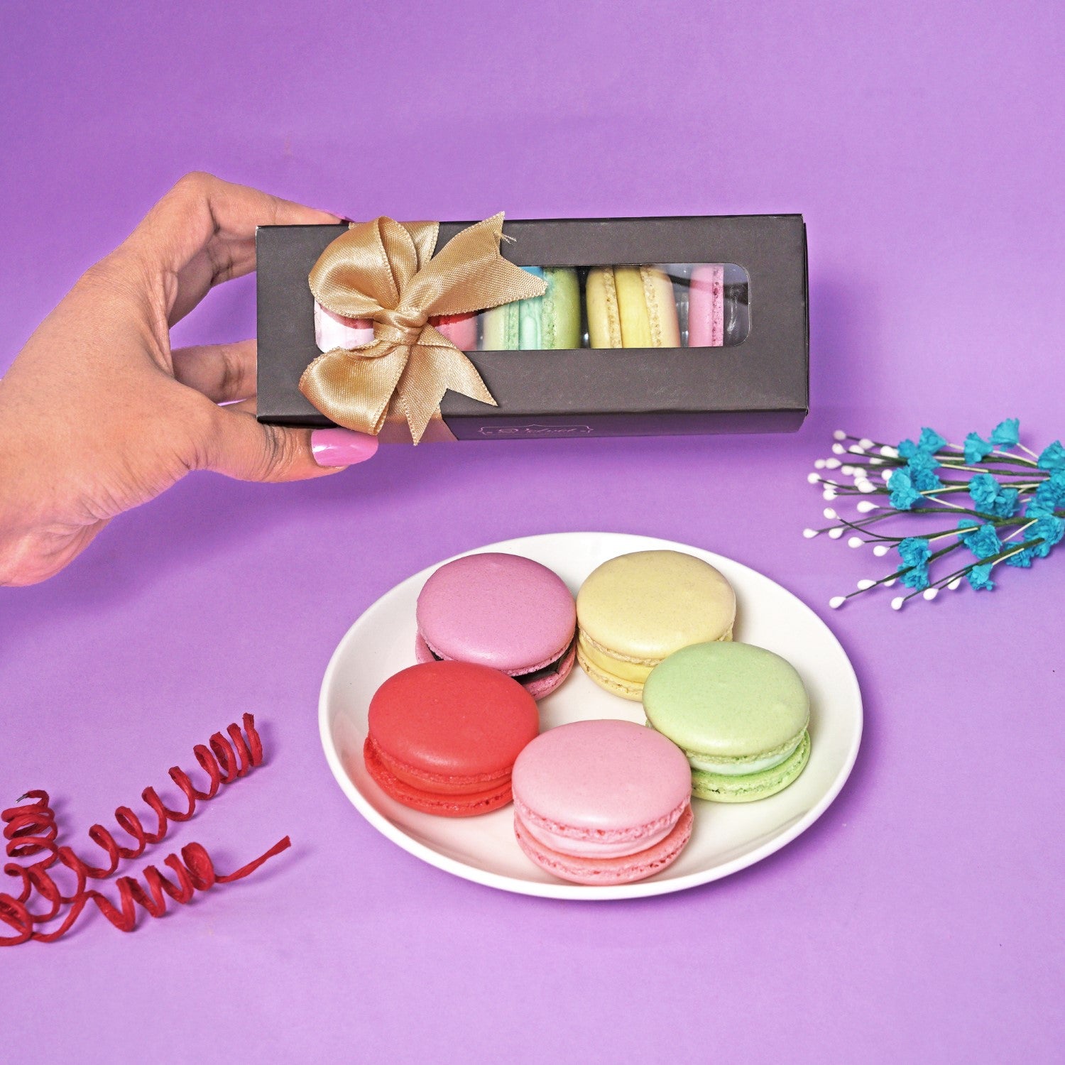 macaron DP-M8-IMG_5576-1_web.jpg?v=