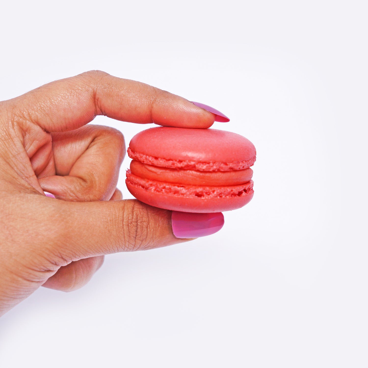 Macaron Box of Five – Velvet Fine Chocolates