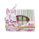 Macaron Box Of Ten